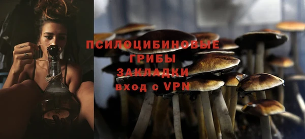 mdpv Сосновоборск