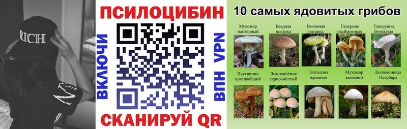 Галлюциногенные грибы мицелий  где купить наркоту  Видное 