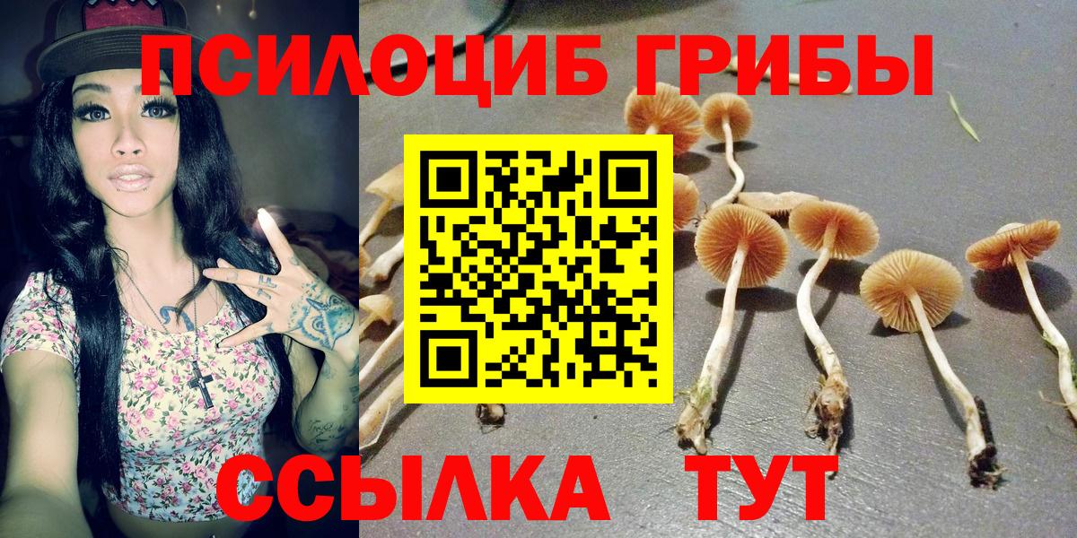 Видное  Псилоцибиновые грибы мицелий  Вход с VPN 
