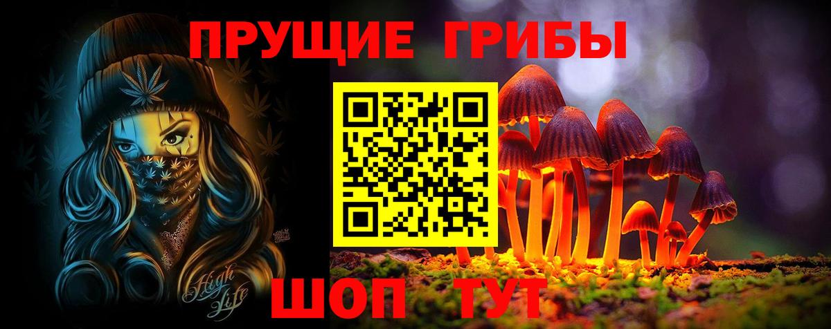 Псилоцибиновые грибы прущие грибы  Видное  Галлюциногенные грибы Psilocybine cubensis 